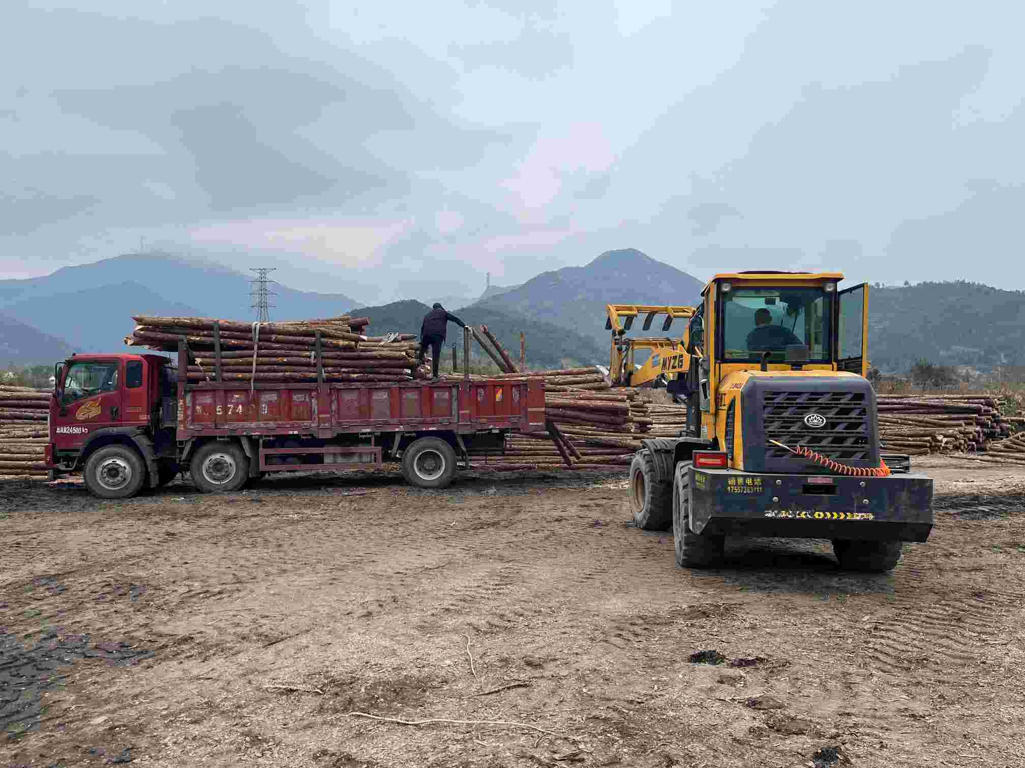 雨天叉车装卸现场